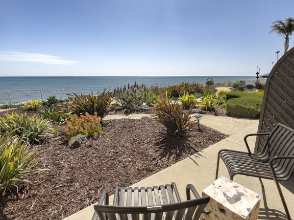 A seaside patio with a bench and manicured plants overlooking the ocean, with a fence along the dunes under a clear blue sky.