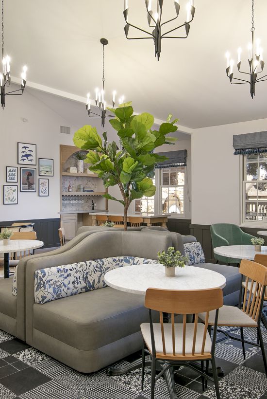 A modern living room with a fireplace, pendant lights, a sofa and chairs, windows, and a large potted plant in the center.