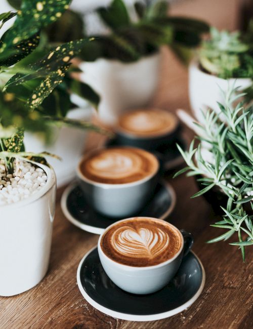 A cozy coffee table with two latte cups featuring heart and swirl foam, plus greenery and pebbles nearby.