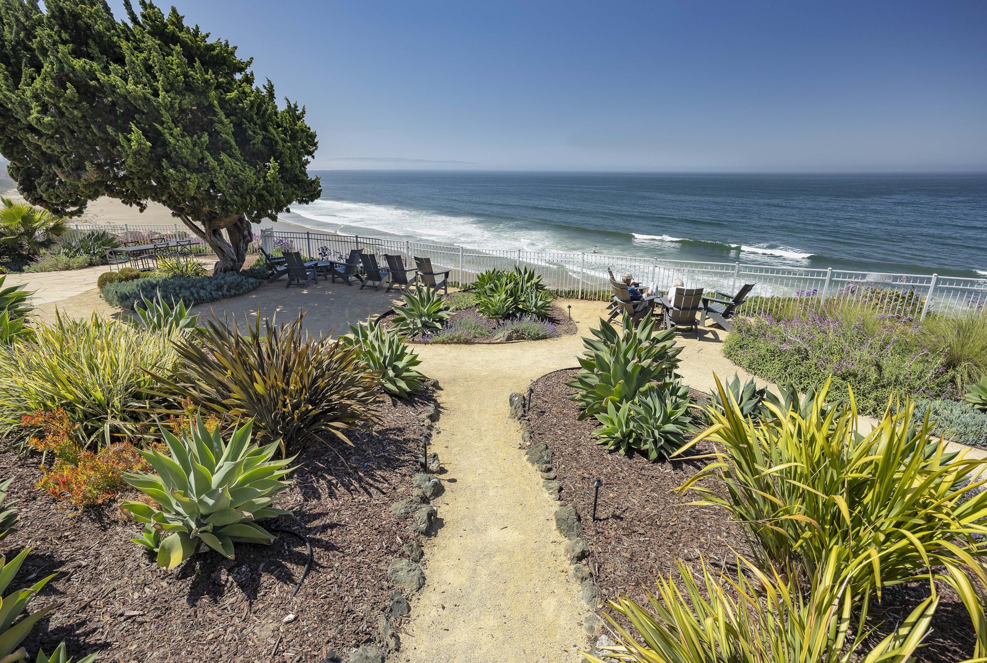 A sunny seaside patio with lounge chairs, lush plants, and a view of rolling waves and the sandy beach.