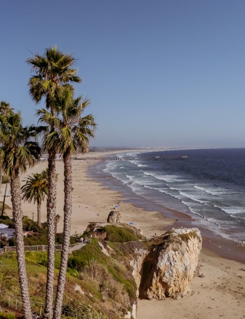Sunny coastline with palm trees, a sandy beach, ocean waves, and a beachfront resort with pools and loungers.