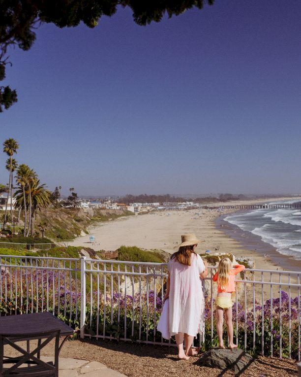 A family watches waves on a sunny beach from a garden walkway, with palm trees, cottages, and a long coastline stretching out.