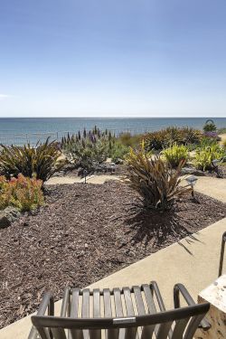 A sunny oceanfront patio with lush landscaped plants, a bench and table, and a wide view of the calm sea.