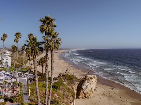 A sunny beachfront with tall palm trees, waves along a sandy coast, and a hotel terrace with pools and loungers.