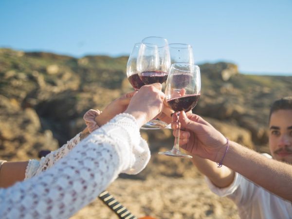 Friends clink glasses of red wine outdoors on a sunny hillside, toasting together with the mountains behind them.