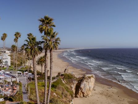 A sunny coastline with tall palm trees, a seaside resort deck, and a sandy beach with ocean waves under a clear sky.
